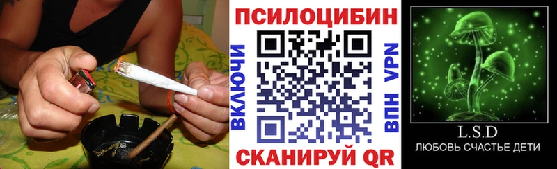 Купить закладки  Туран  Галлюциногенные грибы MAGIC MUSHROOMS 